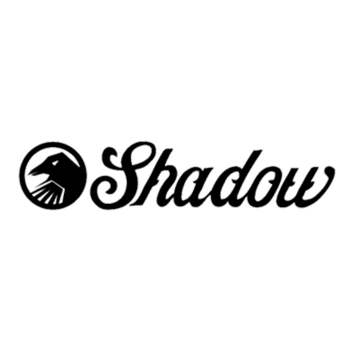 THE SHADOW CONSPIRACY